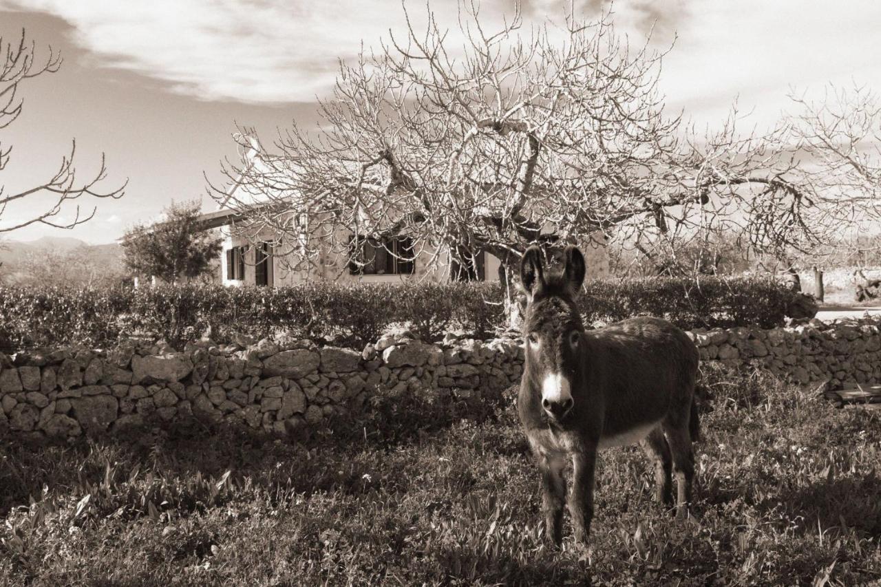 155 Finca Son Rossignol By Mallorca Charme Sineu  Exterior foto
