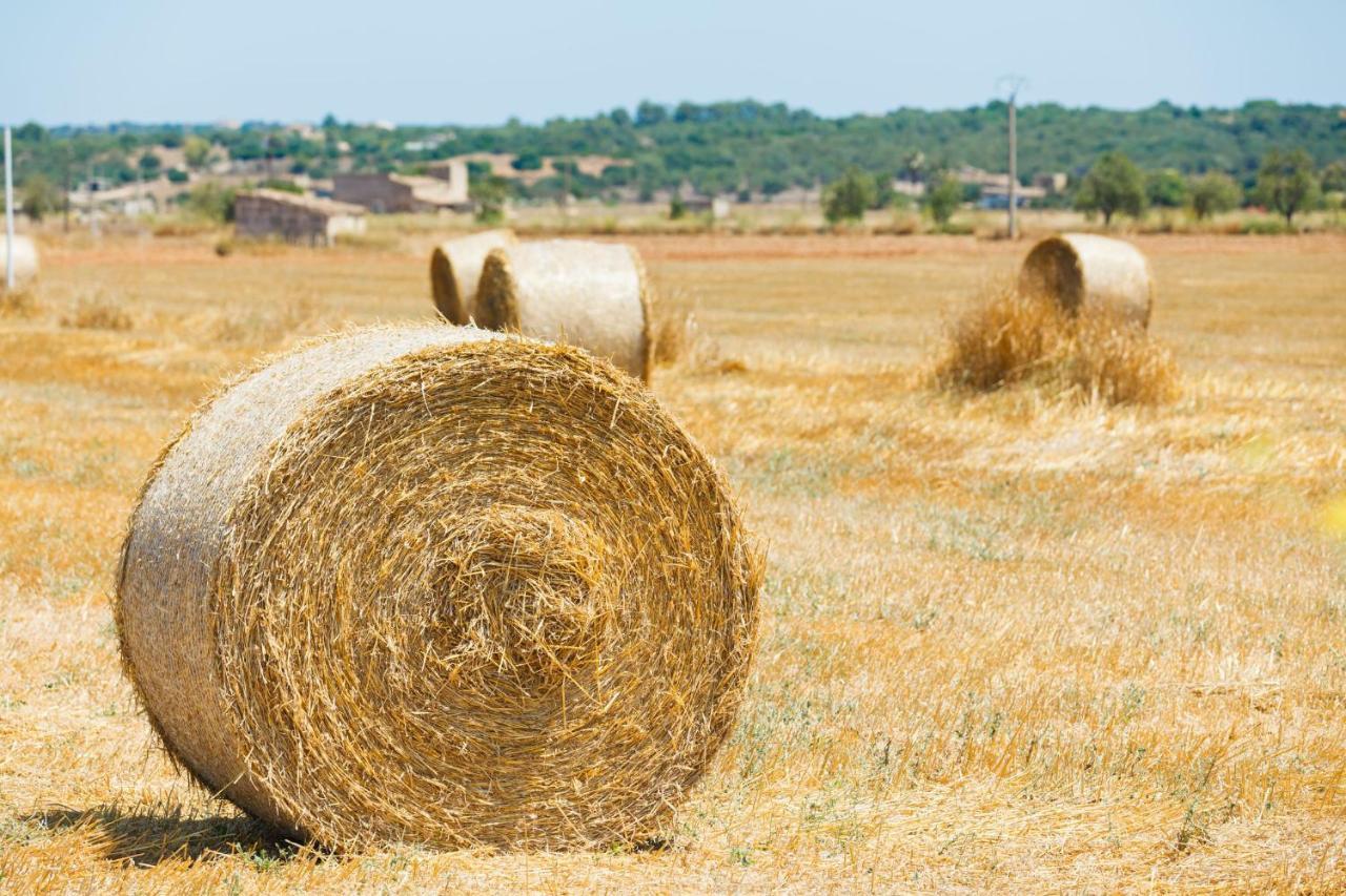 155 Finca Son Rossignol By Mallorca Charme Sineu  Exterior foto